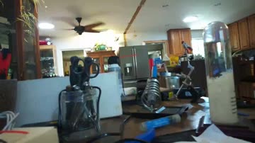 motion_video_20260627_115421_web_720p_3M.mp4